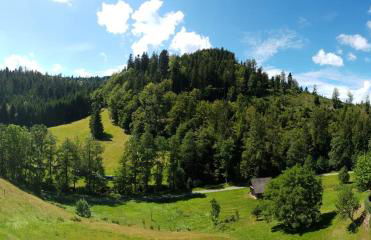 Ferienwohnung Tonbachtal - Photo 4