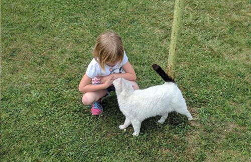 Helenes Ferienwohnung auf dem Bauernhof - Lausitzer Seenland - Foto 18