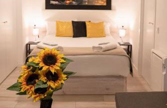 Oshun Plaza Castilla - Foto 20