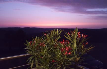 Fewo-Eifel-Morsbach - Foto 21