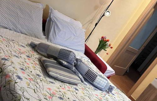 i tulipani - Foto 57