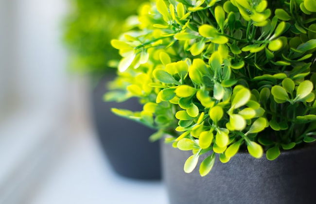 St. Michael's Apartments - Foto 42