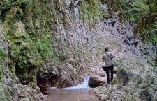 Chrysandra - Foto 33