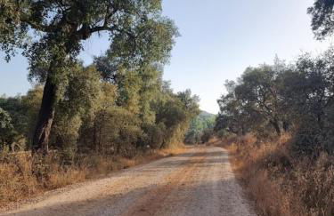 Corteganillas - Foto 21