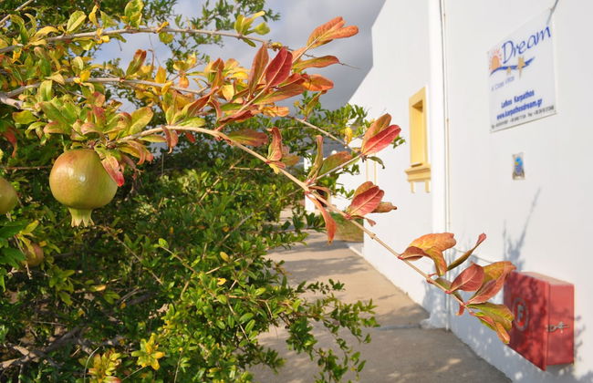 Dream Villas - Foto 23