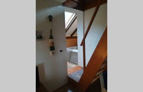 ČAROBNA ŠUMA ***(magic forest) - Foto 32