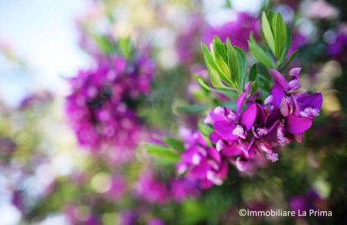 Appartamenti Mare Blu - Foto 80