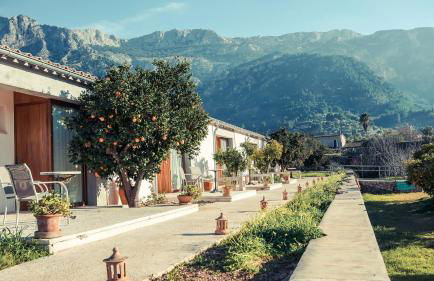 Finca Cas Sant - Foto 15