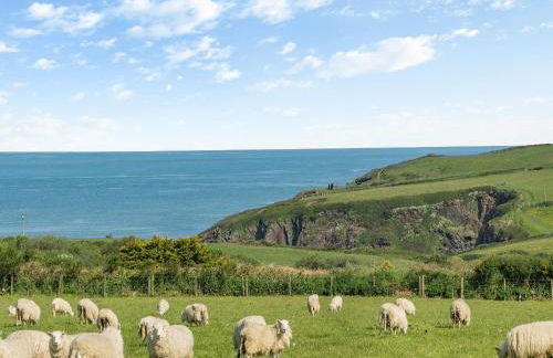 Caerau Bach - Photo 25