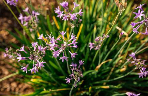 Agriturismo Maria Vittoria - Foto 156