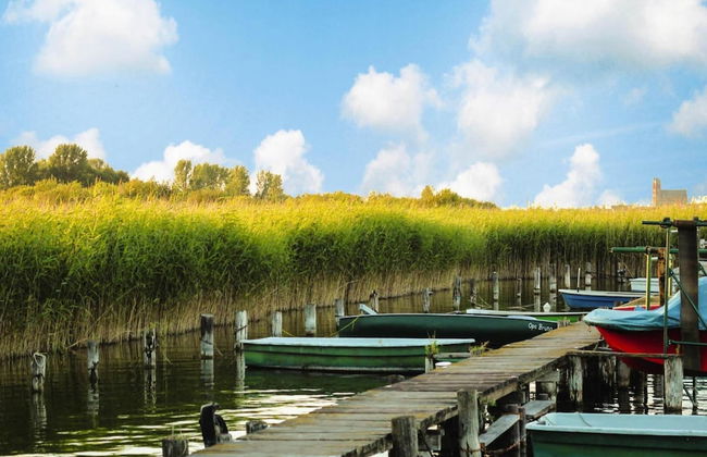 Haus in Seehausen am Oberuckersee - Foto 21