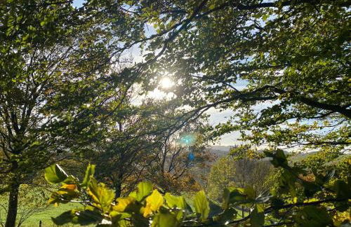 Waldläufer Brilon - Foto 67