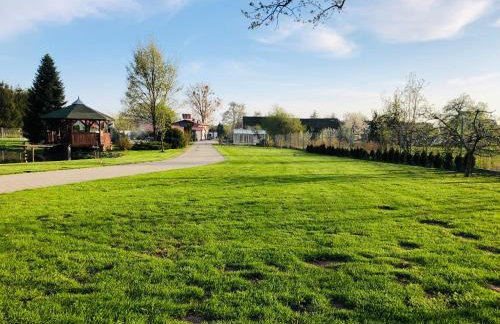 Agroturystyka Pod Dębem - Foto 13