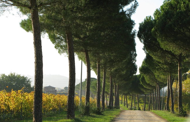 Agriturismo Poggio alle Vigne - Foto 20