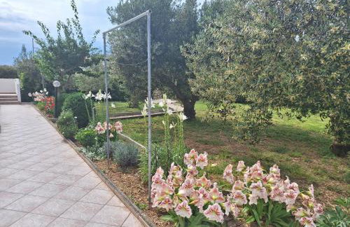 Apartments Donadic III, Caska - Photo 24