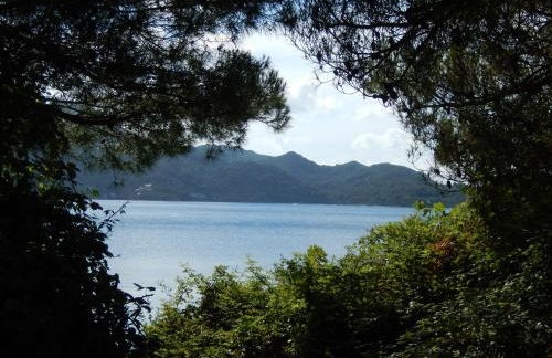 New studio app for 2 - Foto 28