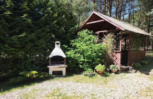 Wczasy na Kaszubach, balia, sauna, jezioro - Foto 7