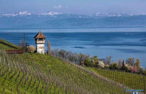 Spatzennest am Bodensee - Foto 2