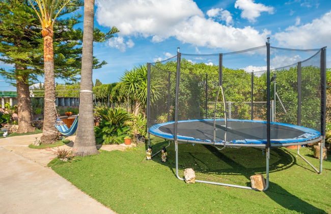 Can Pintat Llub in Mallorca - Photo 6