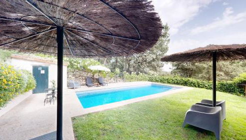 Abejas 1 de El Vergel de Chilla - Foto 3