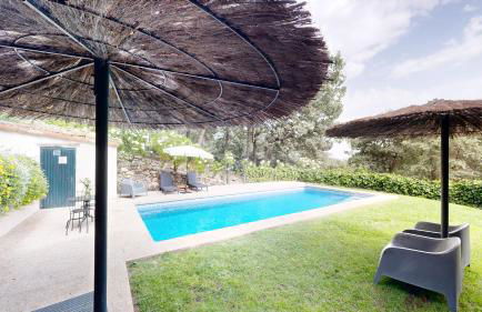 Abejas 1 de El Vergel de Chilla - Foto 3