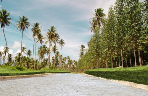 Casa Temporada - São Jose - Foto 23