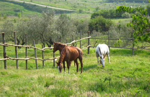 Agriturismo Le Roghete - Foto 30