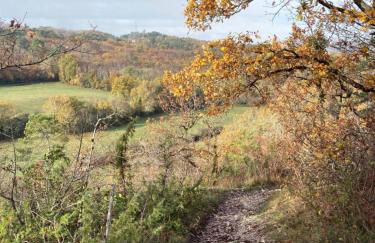 Au petit bonheur - Foto 18