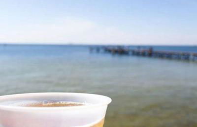 Little Harbor Resort #116 Tampa Bay Florida Beach Bayview - Foto 16