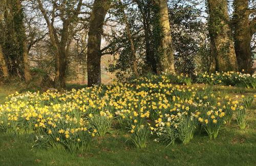 Meadow Sweet Cottage - Photo 24