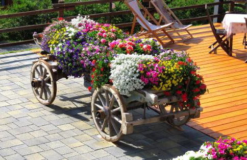 Residence Lo Peyo - Foto 14