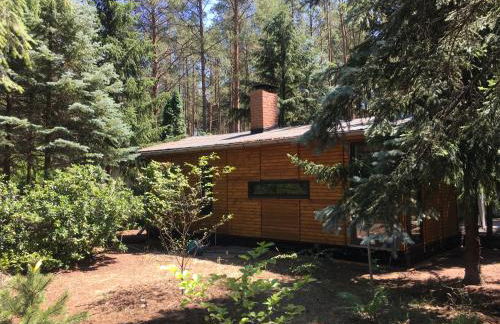 Bungalow im Wald - Foto 22