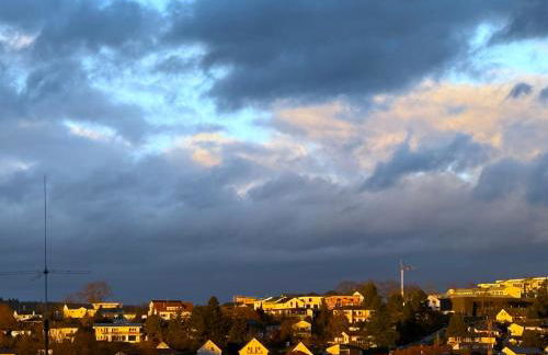 Apartment 4 - Photo 26