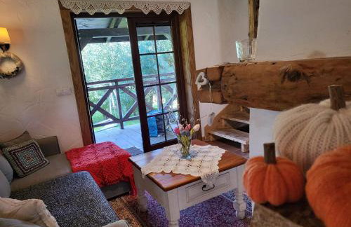 Zagroda Krasna - Photo 5