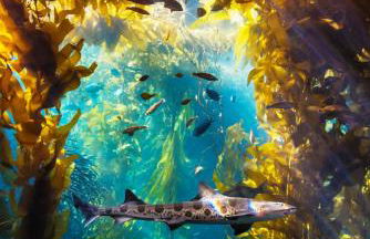 3956 La Casa de Estrella Marie home - Foto 28