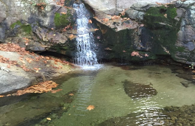 Despina studios and rooms - Foto 39