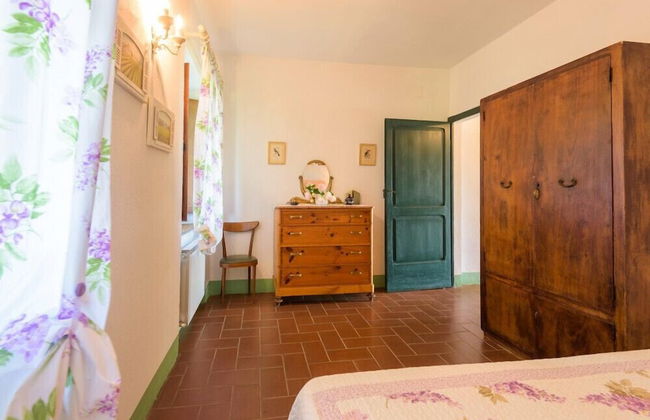 Verdidea - Podere del Mezzadro - Foto 13