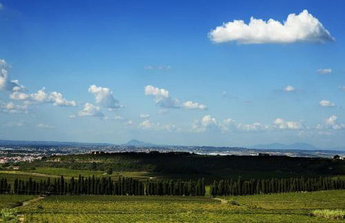 Merumalia Wine Resort - Foto 1