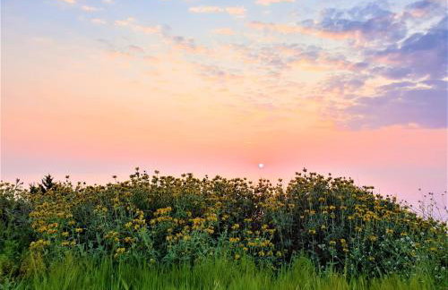 Stamna Farm - Foto 31