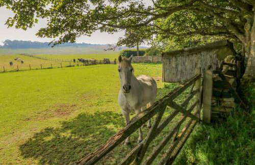 Todridge Barn - Foto 31