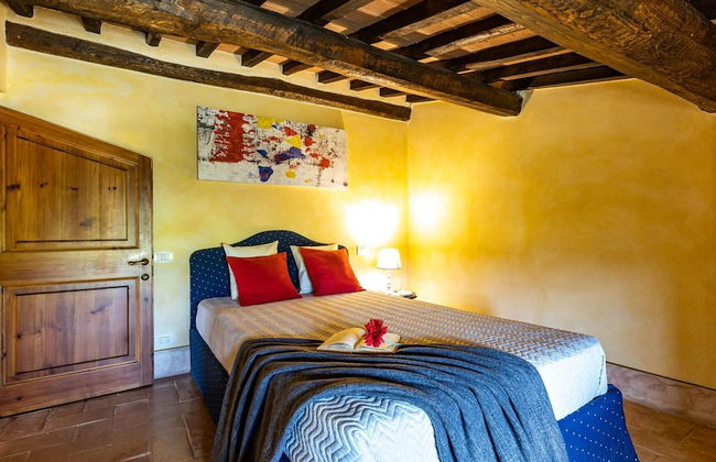 Si-c587-ceto0at - Il Poderuccio 17 - Foto 73