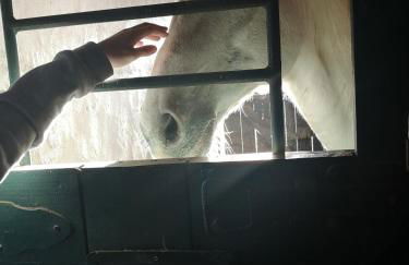 Comenda da Povoa - Foto 37