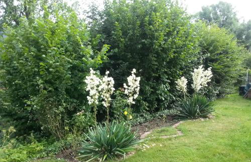 Ferienwohnung Lilly - Foto 10