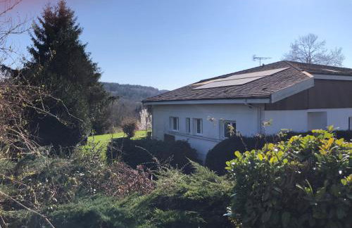 Magnifique Logement f2 Vosges La vôge-les-bains - Foto 11