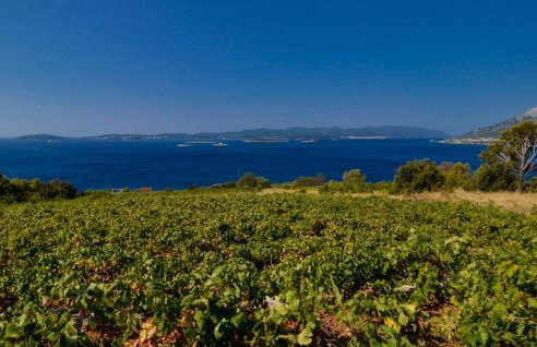 Holiday Home Biserka - Photo 26