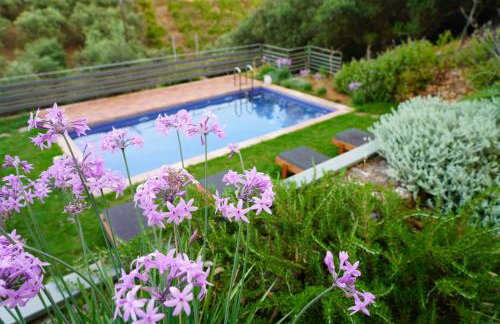 Physis Villas Chania - Foto 10