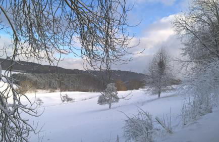 Funny-Farm - Foto 22