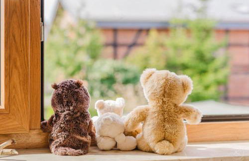 Kaminhaus 3 Fehmarn mit Sauna und Kamin - Foto 45