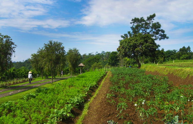 Bagus Agro Pelaga - Foto 70