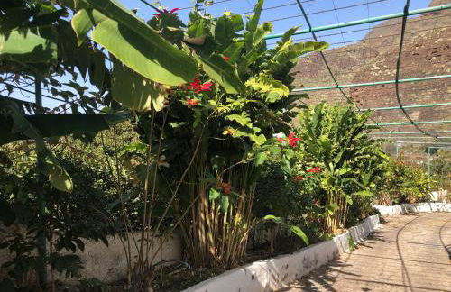 Casa Camino Tamadaba - Foto 46